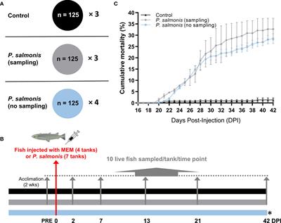 Transcriptome Profiling of Atlantic Salmon (Salmo salar) Parr With Higher and Lower Pathogen Loads Following Piscirickettsia salmonis Infection